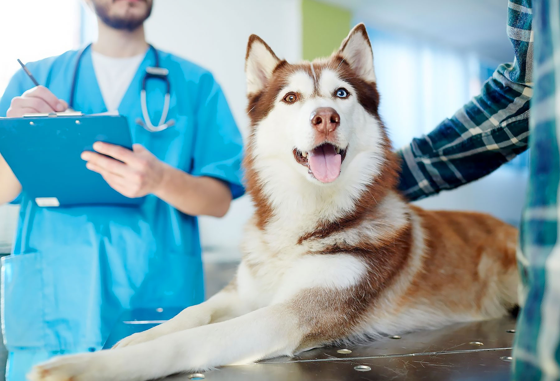 Cabinet Veterinar